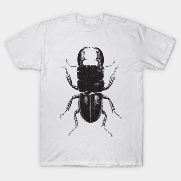 Beetle T-Shirt by Kunstlerstudio